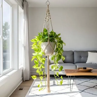 Hanging a plant