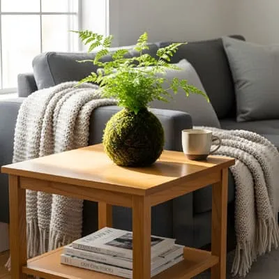 Kokedama Home