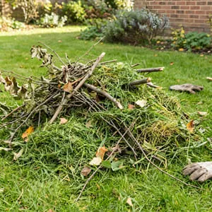 Grass clean up