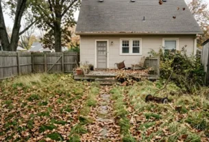 Yard need clean up