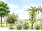 types of plants as drawing