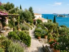 mediterranean garden landscape