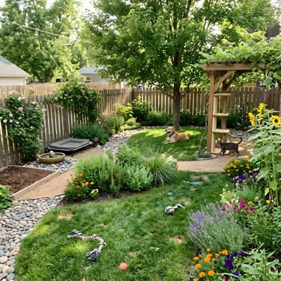 Pet friendly in a garden